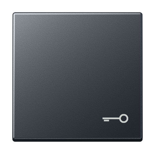 Клавиша JUNG А-СЕРИЯ, антрацит матовый