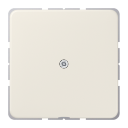 JUNG CD 500/CD plus Бежевый Вывод кабеля